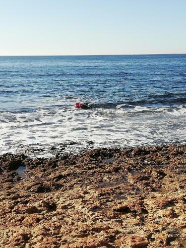 Apartamento Appartement En R�sidence Priv�e Proche Mer