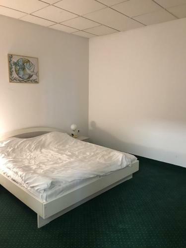 Albergue Apartament In Regim Hotelier