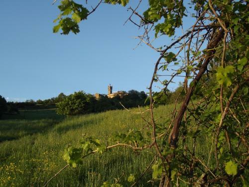 Agroturismo La Ciastra Ed San Michel
