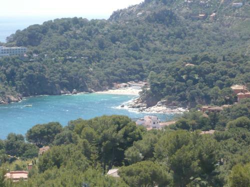 Apartamento Bravaholidays-34-condal