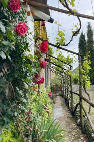 Bed & Breakfast La Casa Di Giobatta