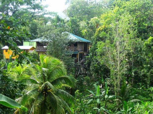 Lodge Zimbali Retreats