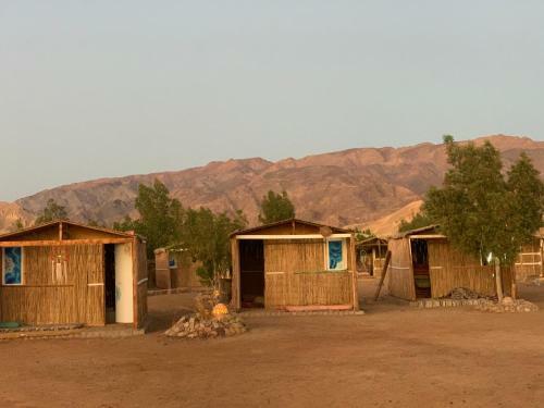 Alwaha Camp