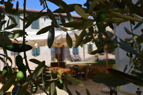 Agroturismo Colle Del Barbarossa