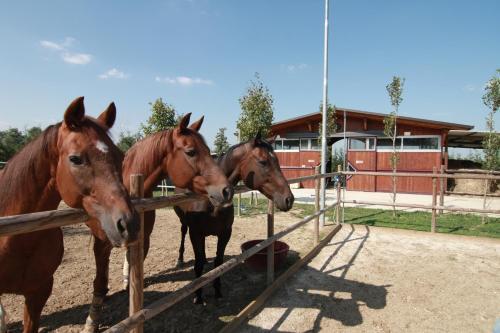 Bed & Breakfast Aiceltis