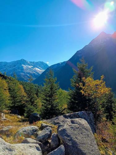 Apartamento Haus Bergwind