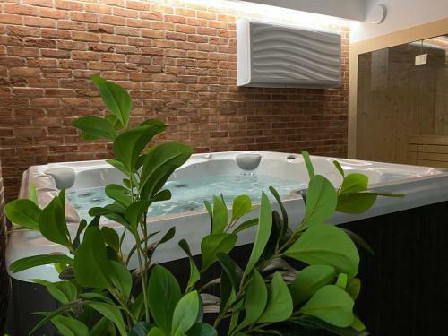 Apartamento Manca Loft & Spa