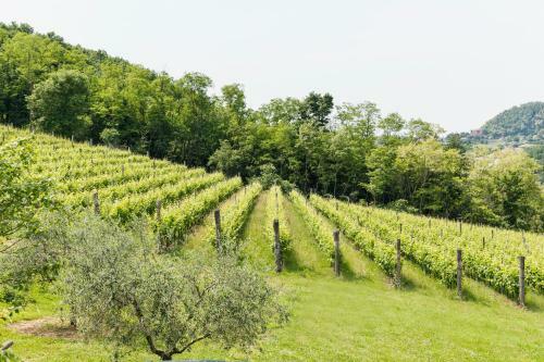 Agriturismo Terre Bianche