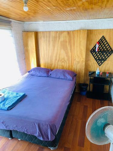Hostal Habitacion Santiago Sur