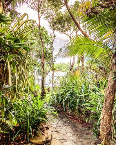 Hotel Posada Las Orquideas