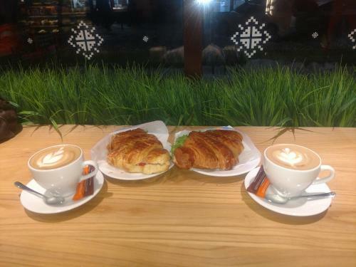 Magnificent Apartment In Central Lviv
