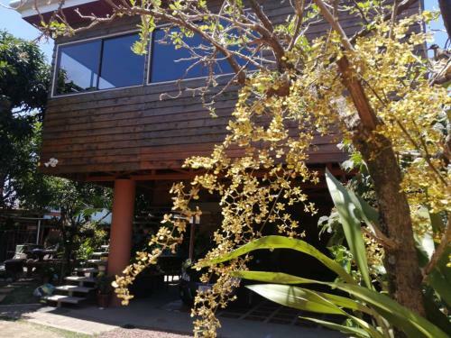 Apartamento Casa C�ra