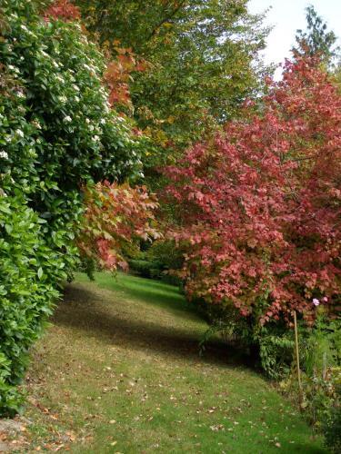 Hostal Jardin La Bourdonni�re