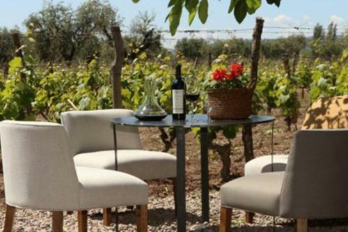 Apartamento Bodega De Coria E - Urbesur