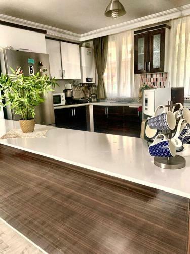 5mins From Airport. Luxury Villa In The Forest