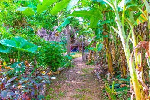 Ecocamping Canto Da Coruja