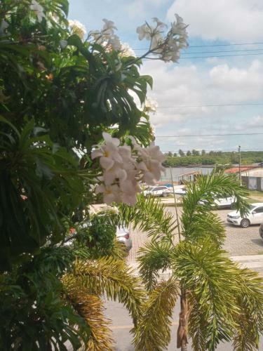 Lagoamar Pousada-hostel