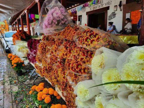 Casa de Campo Cerca de Pueblos M�gicos Michoacanos