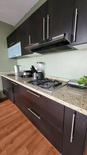 Apartamento Dpto. Completo En Minerva, King Size, Moderno.