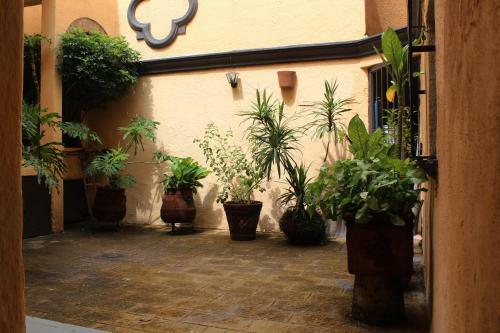 Apartamento Estudio 4 / En Coraz�n de Chapalita