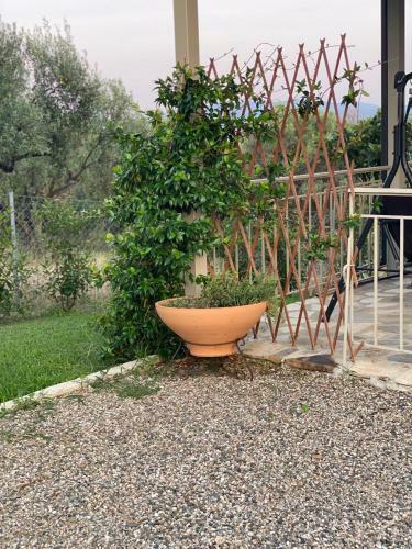 Moi Country Villa