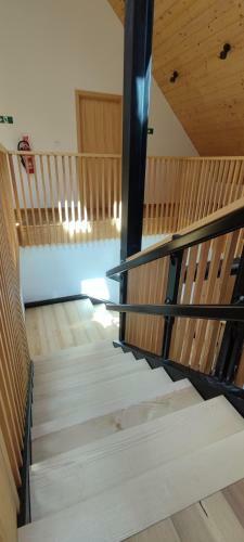 Hostel Borik