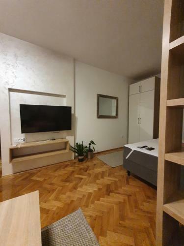 Apartment Novi Sad Center - 100m From Pedestrian Zone