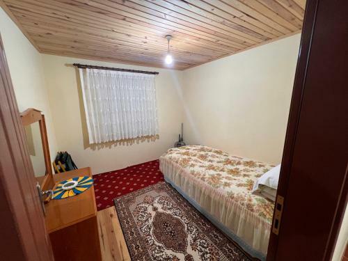 Ha�ka Yaylasi Da? Ev?