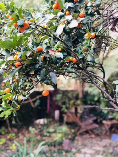 Hostal La Morada De Vicente L�pez