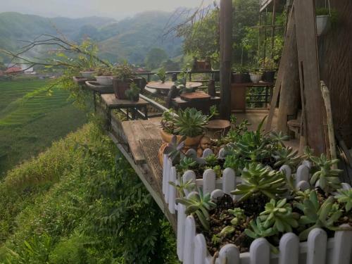 Agroturismo Thuy?n M�y Sapa Homestay