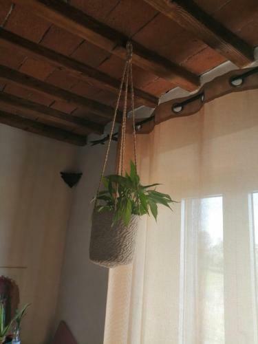 Apartamento Casa Vacanze A & M