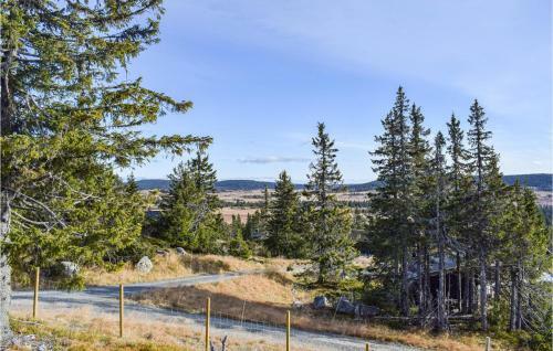 Three-bedroom Holiday Home In Sjusjoen