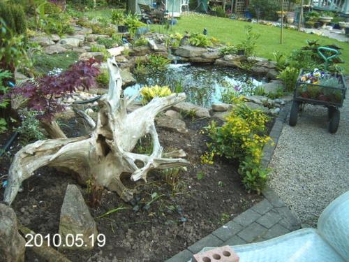 Bed & Breakfast Hillfield House B & B