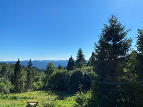 Apartm�n Meluz�na