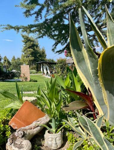 Eden Apartment Paliouri With Frontyard Private Garden