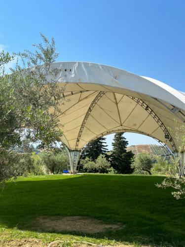 Agroturismo Il Salice