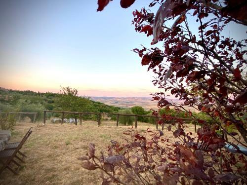 Agroturismo Agriurismo Podere Casella