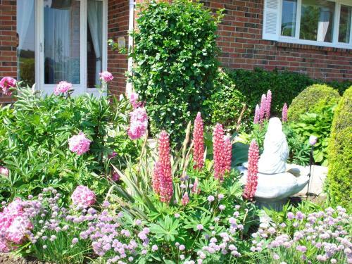 Stratford Serenity Bed & Breakfast