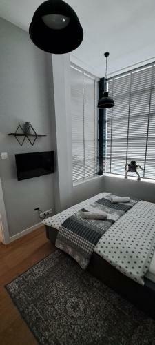 Loft Apartment " Amadeus " Tymienieckiego