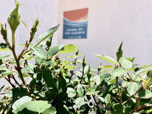 Hostal Charm Of The Algarve