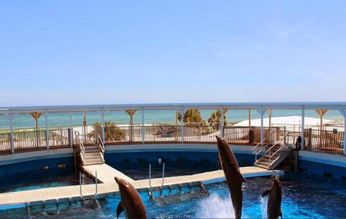 Destin West Bayside Sandpiper #305- Licensed To Chill