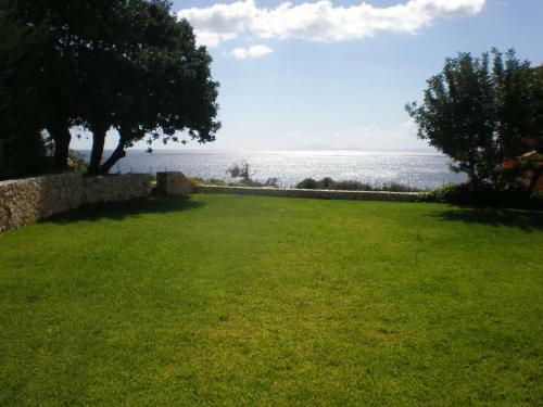 Villa Brio Exclusive
