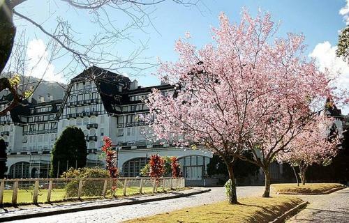 Albergue Quarto Familia Centro Historico de Petropolis