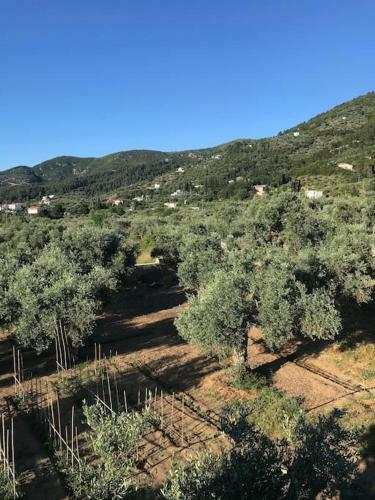 Apartamento Villa Nova - Aegean Views & Organic Garden