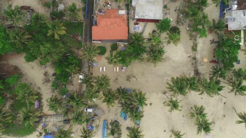 Marari Praise Beachfront Homestay