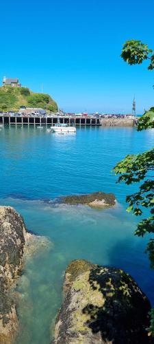 The Brookhouse. Cheerful Tiny House With Seaview.