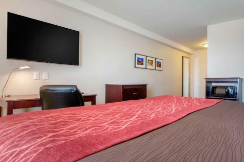 Hotel Comfort Inn & Suites Saint-nicolas