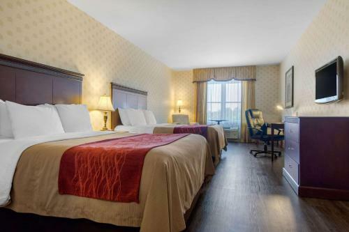 Hotel Comfort Inn & Suites Saint-nicolas