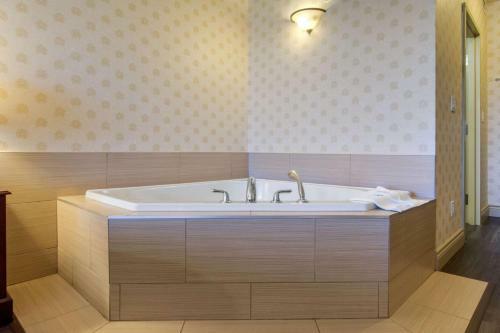 Hotel Comfort Inn & Suites Saint-nicolas