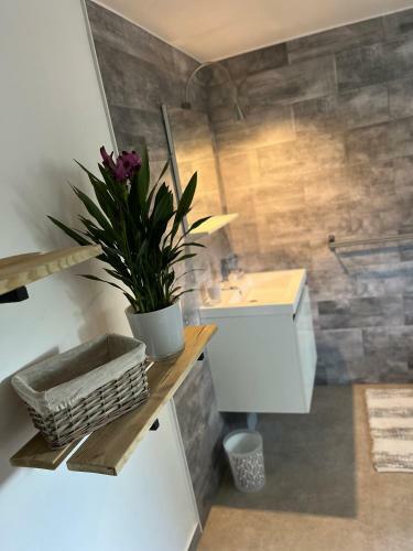 Apartamento L'appart Du Ried